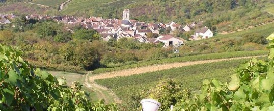 Plaisant B&B:vignoble de Chablis