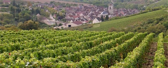 Maison d’Hôtes en Bourgogne:Chablis