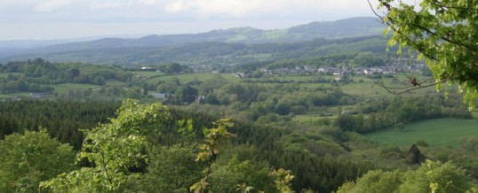 Superbe hébergement:Parc du Morvan