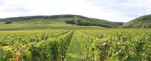 grands-crus-bourgogne-chambre-dhote