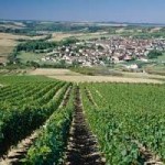 villege-saint-bris-vignoble-bourgogne-chambres-hotes