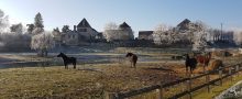 ferme-clavisy-bourgogne-carpe-diem